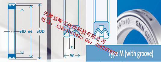 GMNM100X120X10油封圖紙